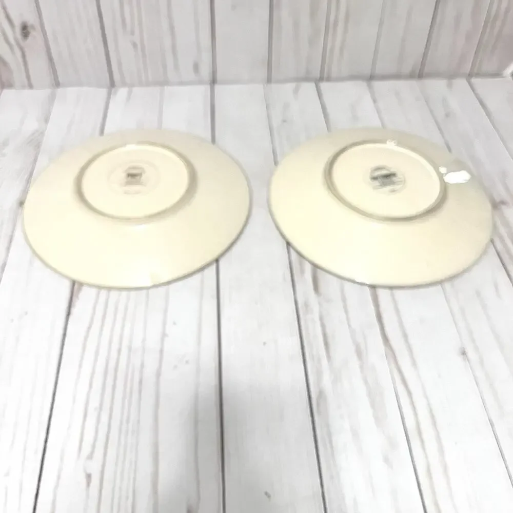 Pier 1 Stoneware SANCTUARY Salad Plate(s) Set of 2 8.5